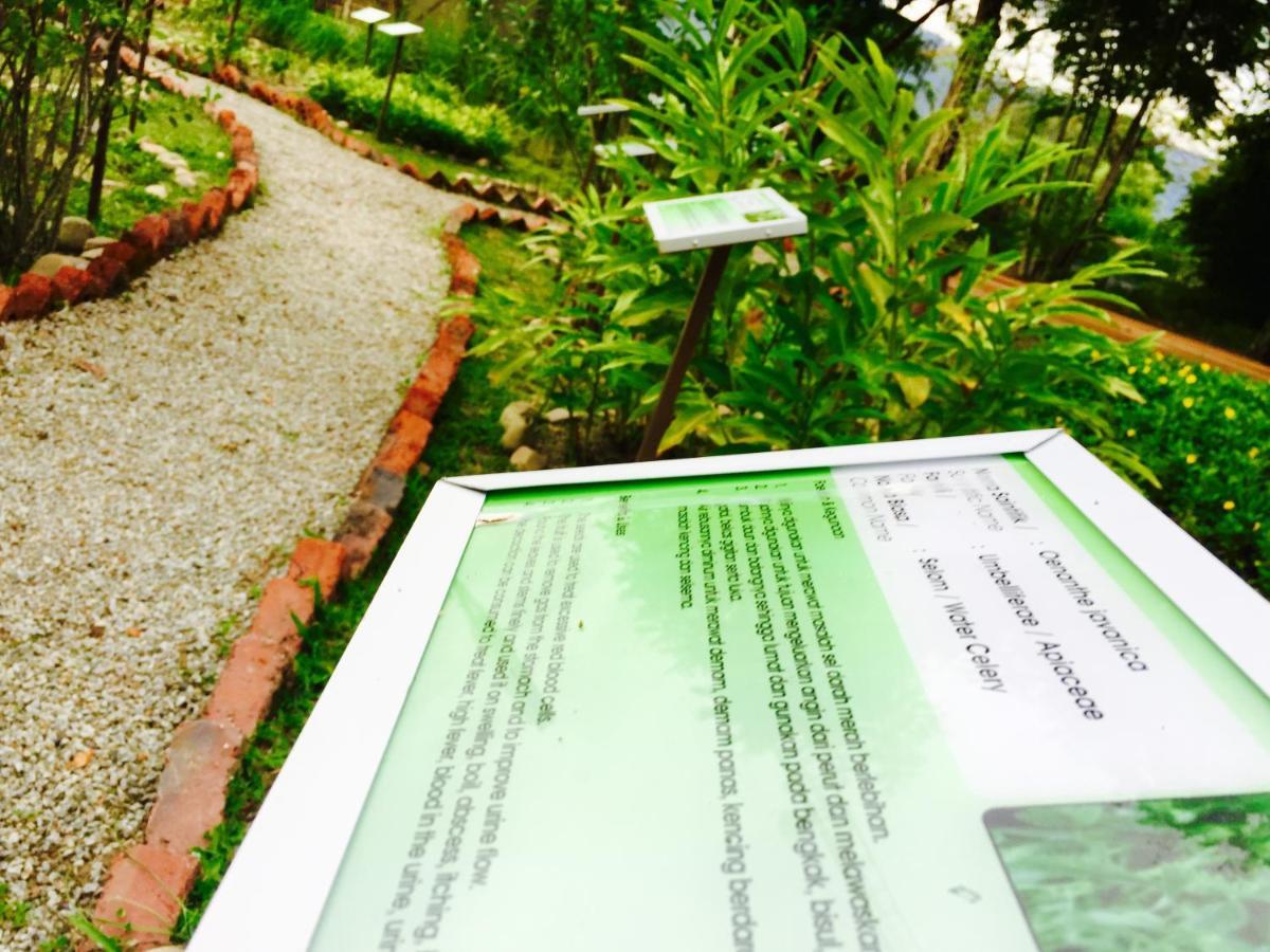 Langkawi Lagoon Executive Suite Resort Pantai Cenang  Luaran gambar